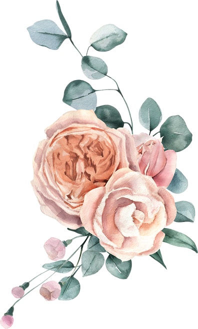 Roses with Eucalyptus Leaves Illustration