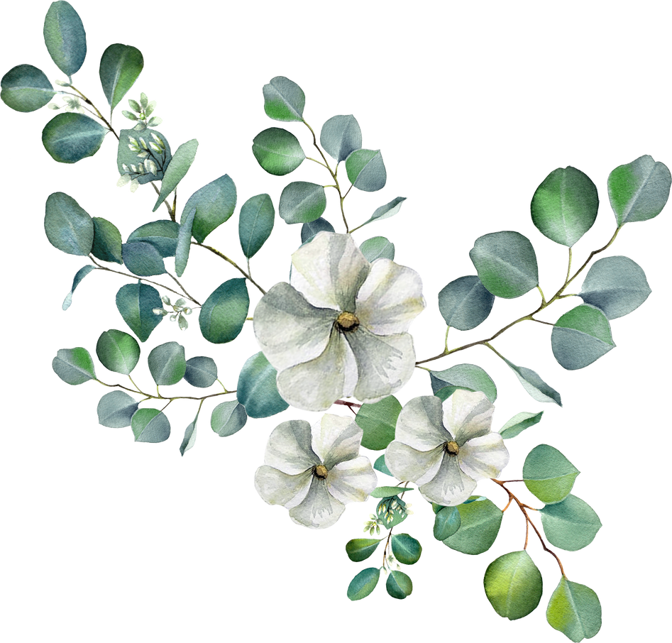 Watercolor eucalyptus leaves and jasmine flower bouquet. Wedding arragement