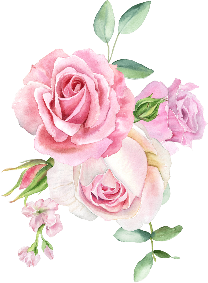 Watercolor blush pink gentle roses bouquet